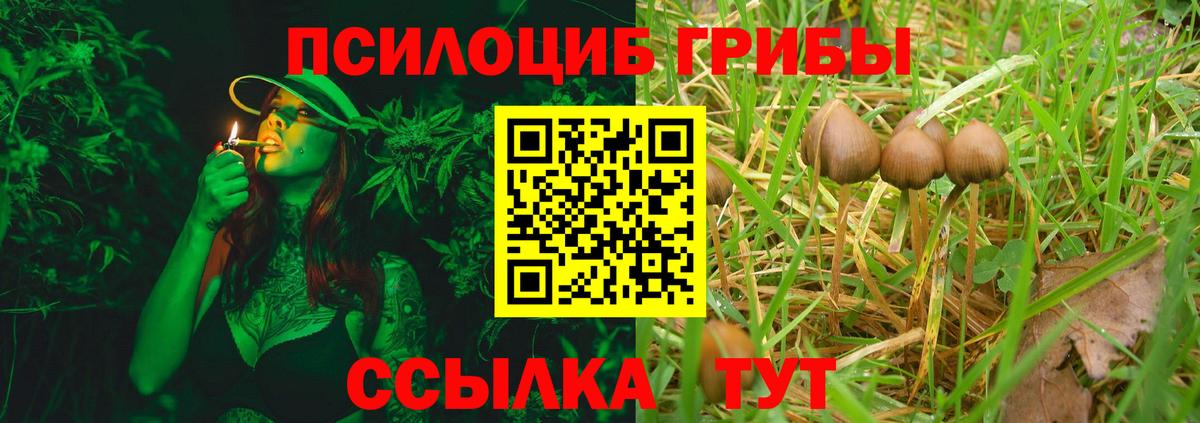 Псилоцибиновые грибы мухоморы  Вход с VPN  Псилоцибиновые грибы мицелий  Кулебаки 